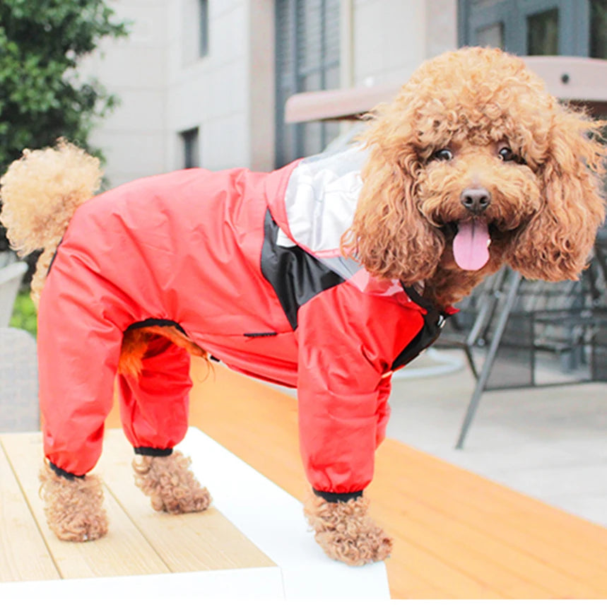 Manteau imperméable pour chien, vêtements pour animaux de compagnie, combinaison imperméable pour chien, vêtements résistants à l'eau pour chiens